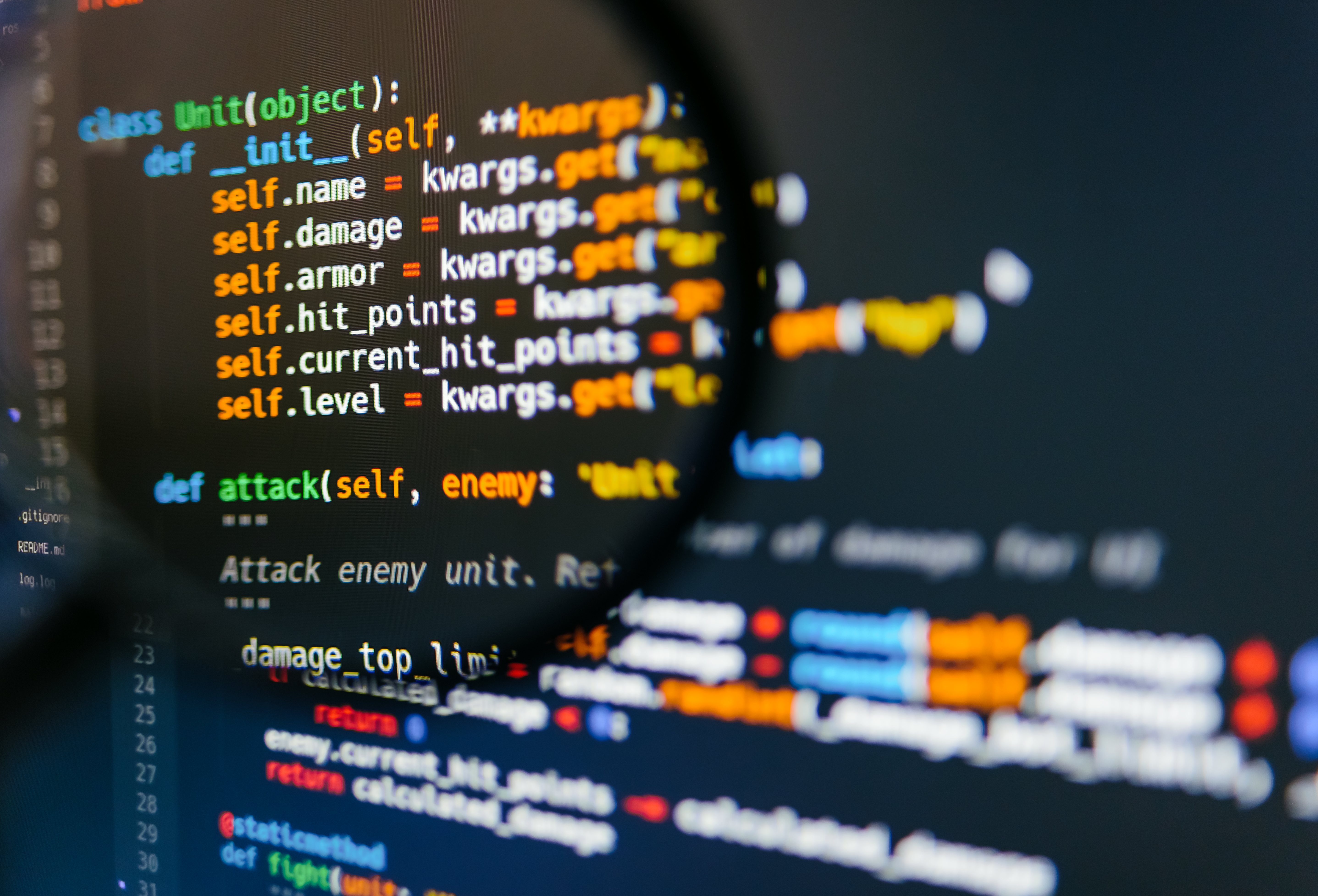 Software